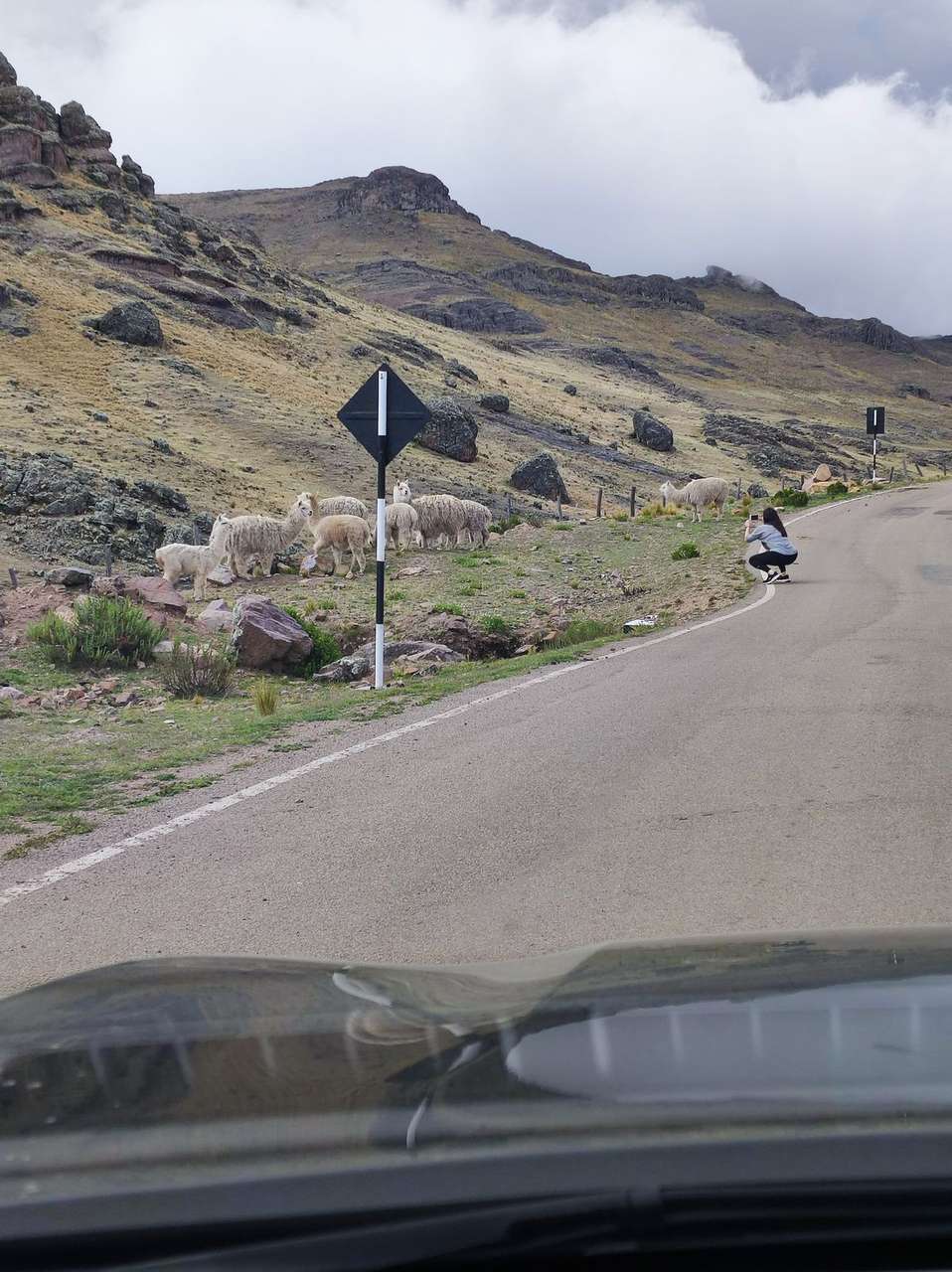 Puna de Huancavelica, 16 de enero: Anet pisa por primera vez los 4.000 metros del viaje.